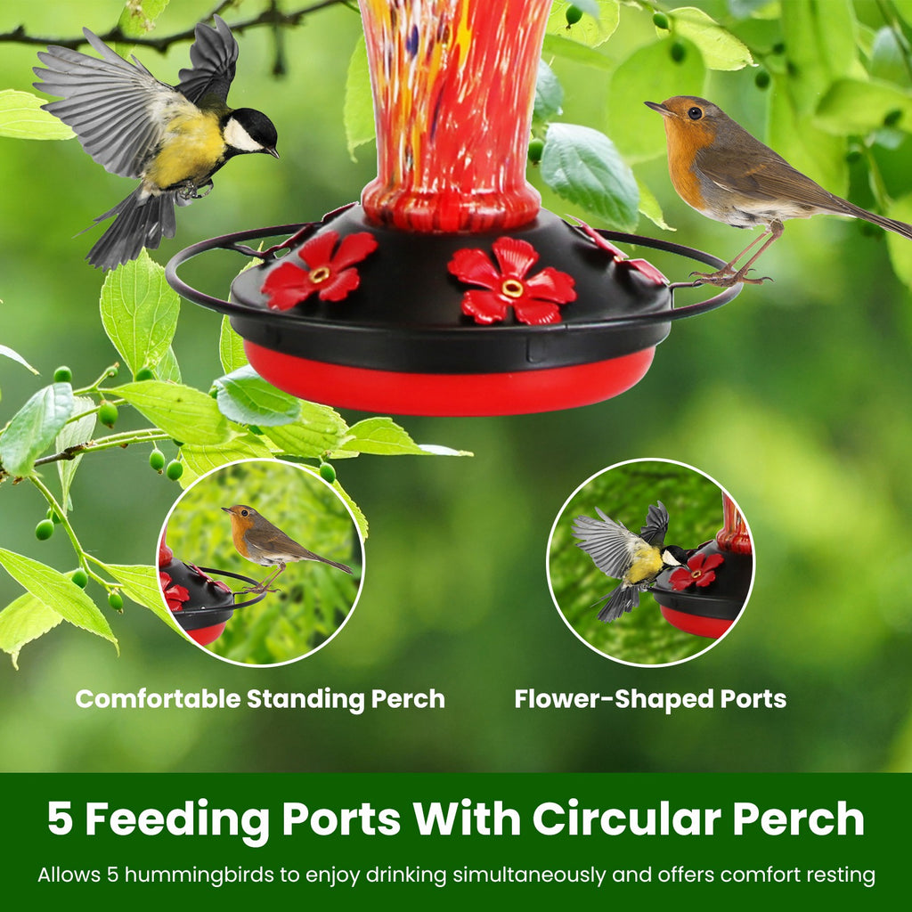 Hand-Blown Glass Hummingbird Feeder, 33 oz - image 6