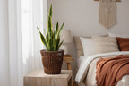 Handwoven Willow Planter Basket - image 3