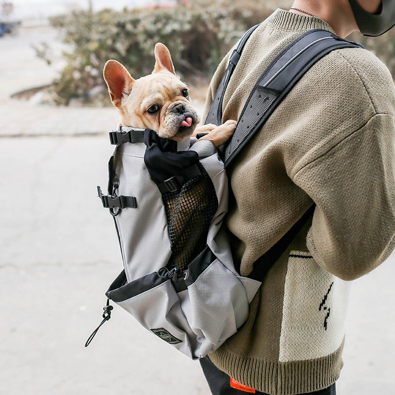 Dog Carrier Backpack for Small Dogs and Cats