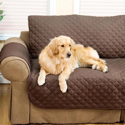 Golden retriever lying on a coffee quilted sofa cover