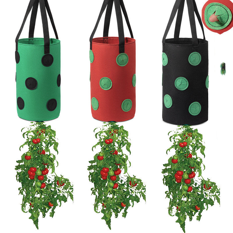 Three hanging grow bags in green, red and black with plants growing from the bottom