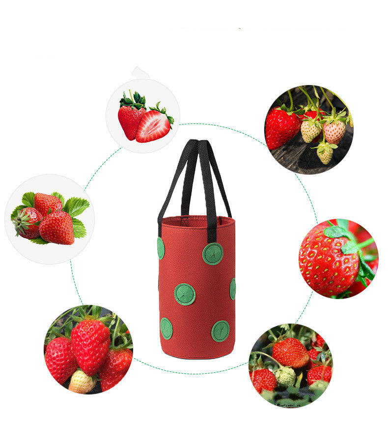 Red hanging grow bag surrounded by close-ups of strawberries
