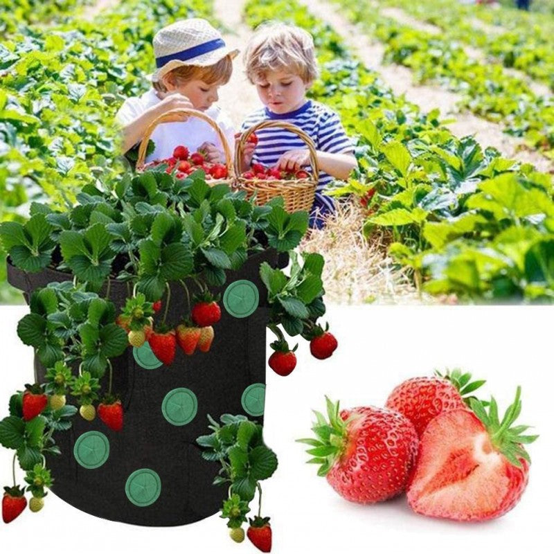 Black grow bag with strawberries growing from the side holes, with two children in the background