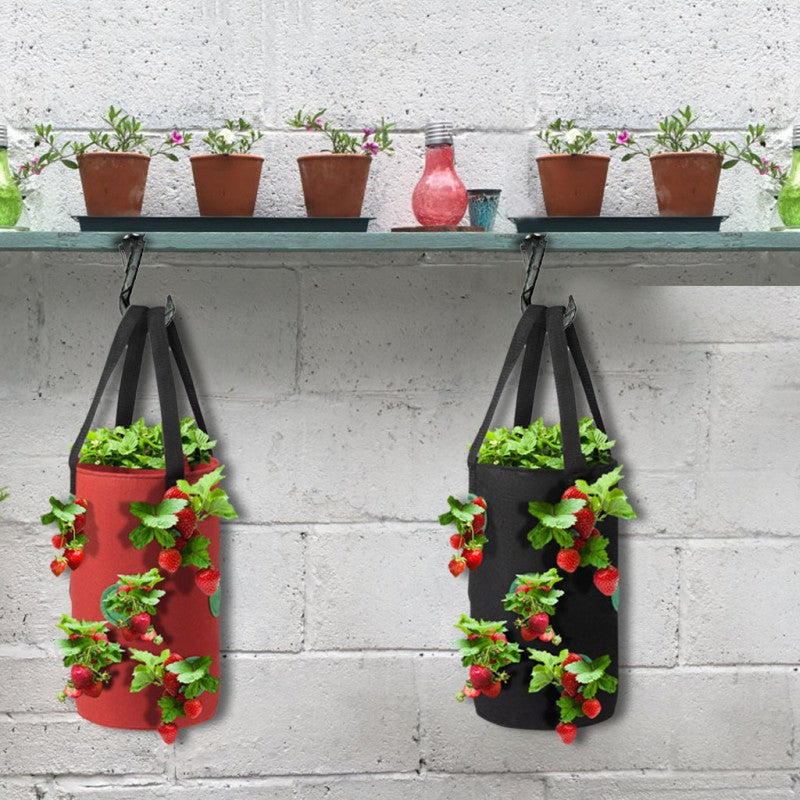 Red and black grow bags with strawberries hanging from hooks on a wall
