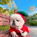 Fleece Dog Hoodie with Fruit Print - view 7