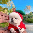 Fleece Dog Hoodie with Fruit Print - view 7