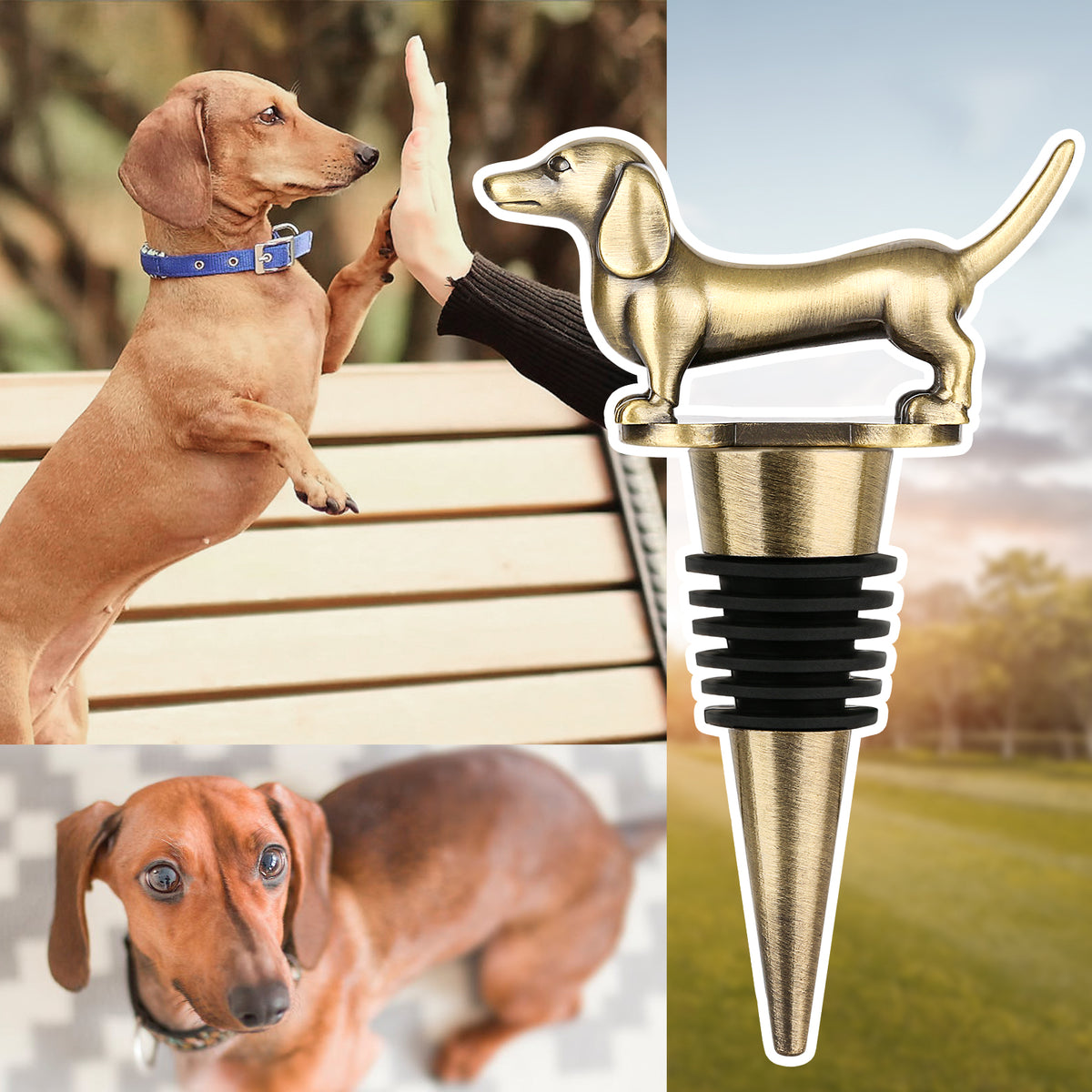 Bronze dachshund wine stopper beside photos of dachshund dogs
