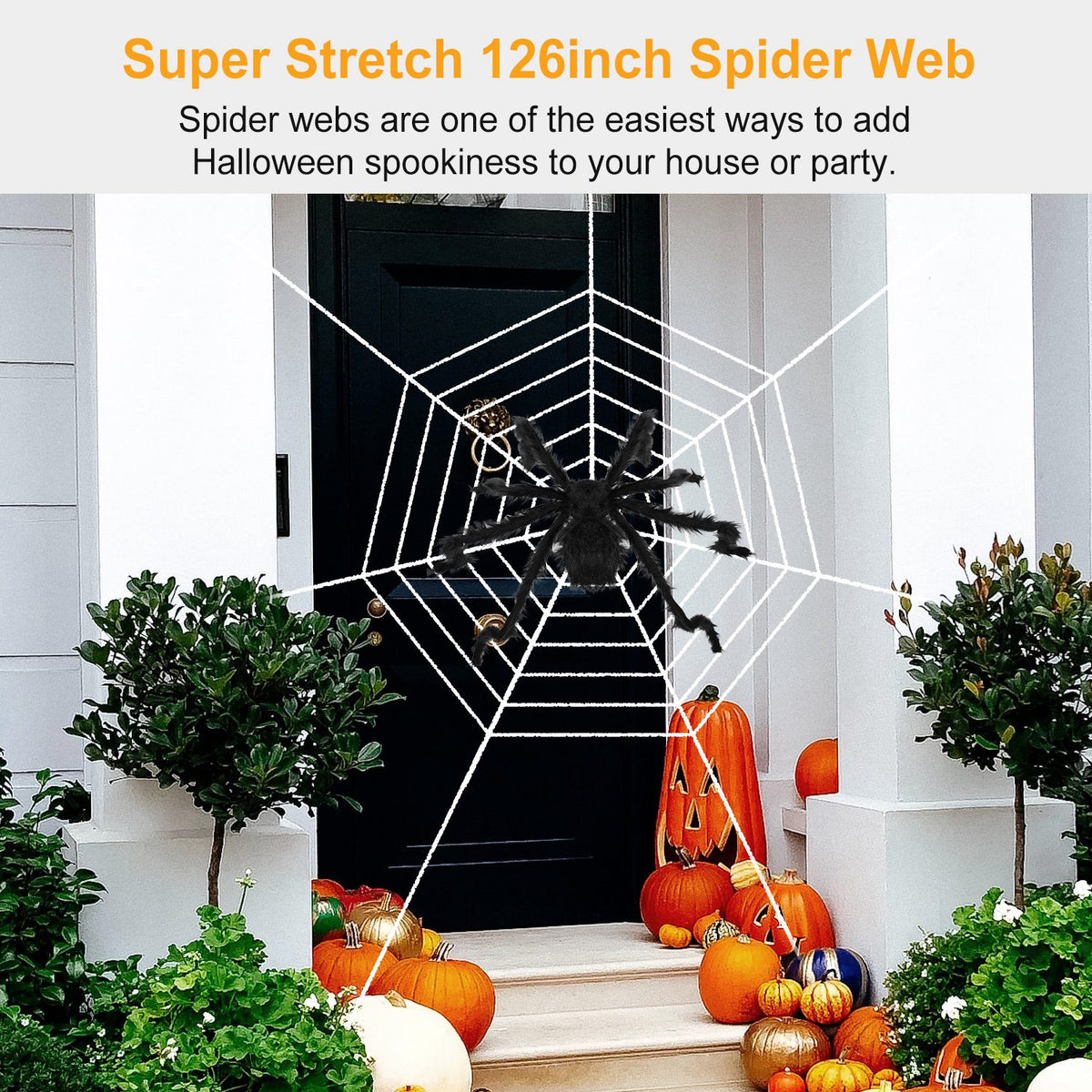 Giant 49 in Hairy Halloween Spider with Web - image 6