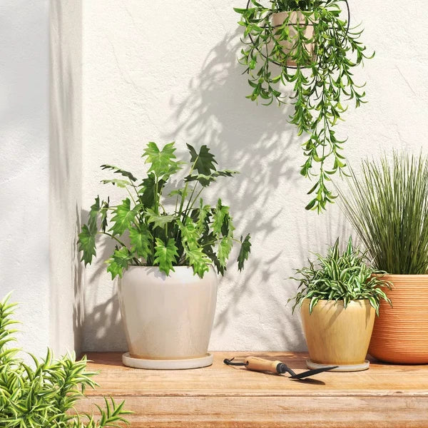 8 in Ceramic Planter with Reactive Glaze and Saucer, Off-White - image 2