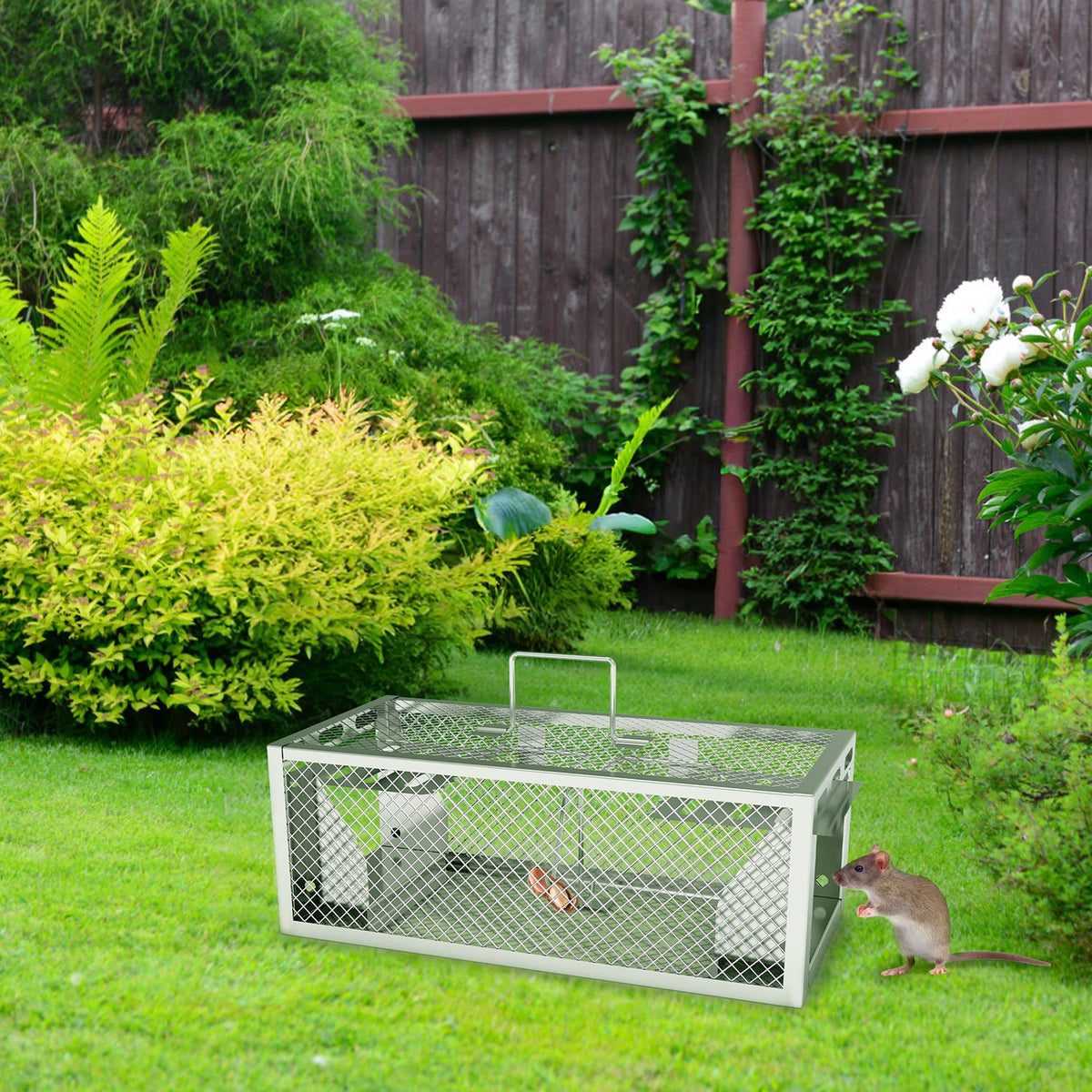 Humane Live Mouse and Rat Trap, 2 Pack - view 6