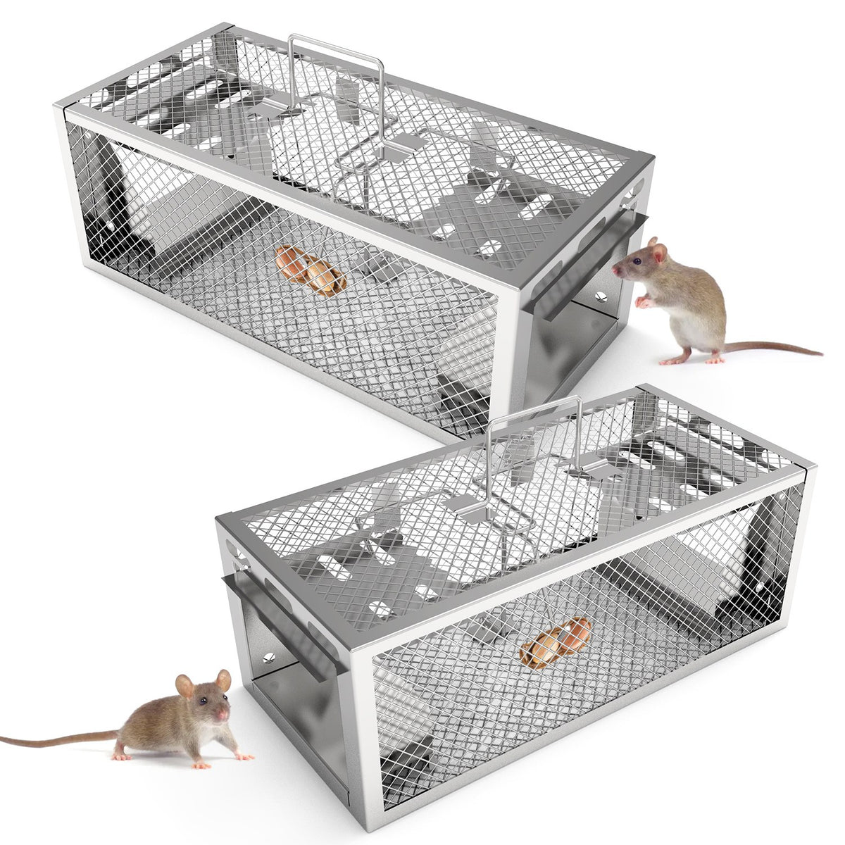Humane Live Mouse and Rat Trap, 2 Pack