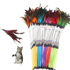 Feather Wand Cat Toy with Bells