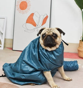 Pet drying bag for dogs, view 3