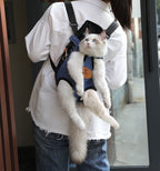 Person wearing a front carrier backpack with a cat, seen from the side