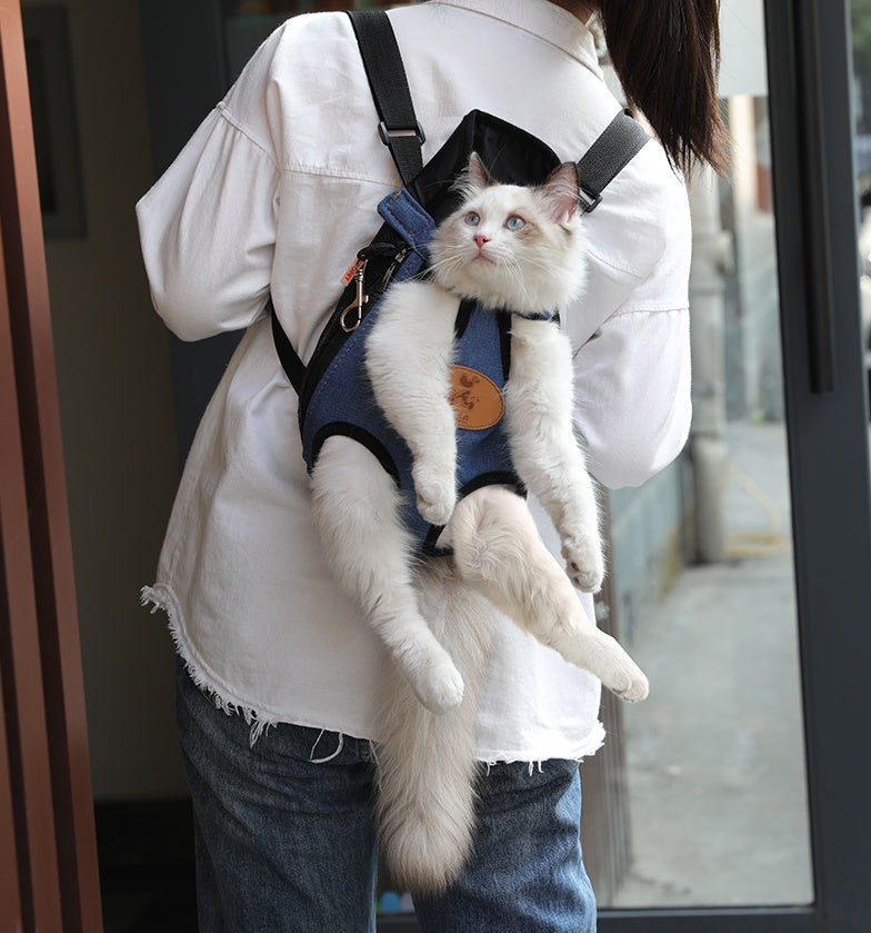 Person wearing a front carrier backpack with a cat, seen from the side
