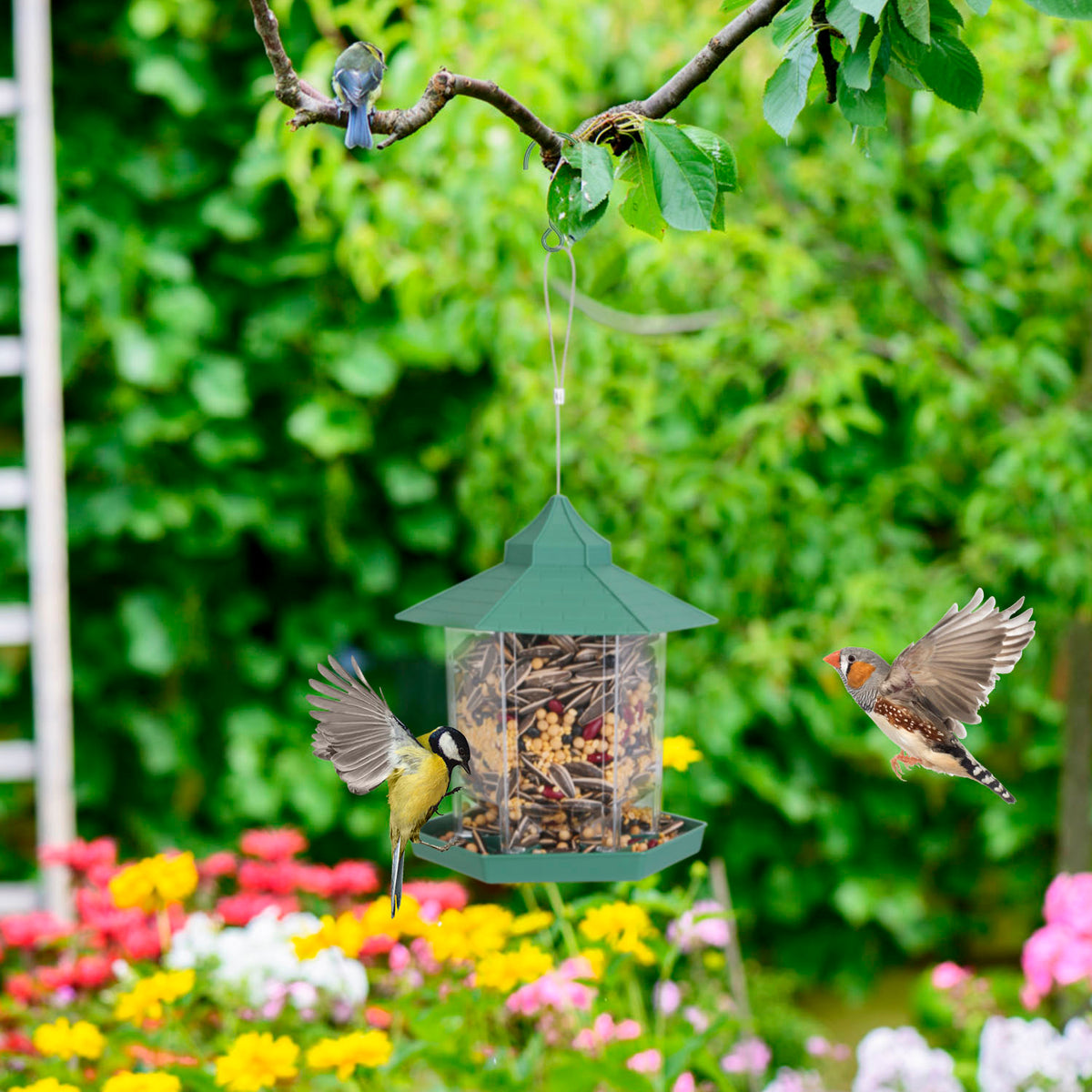 Hanging gazebo wild bird feeder, view 9