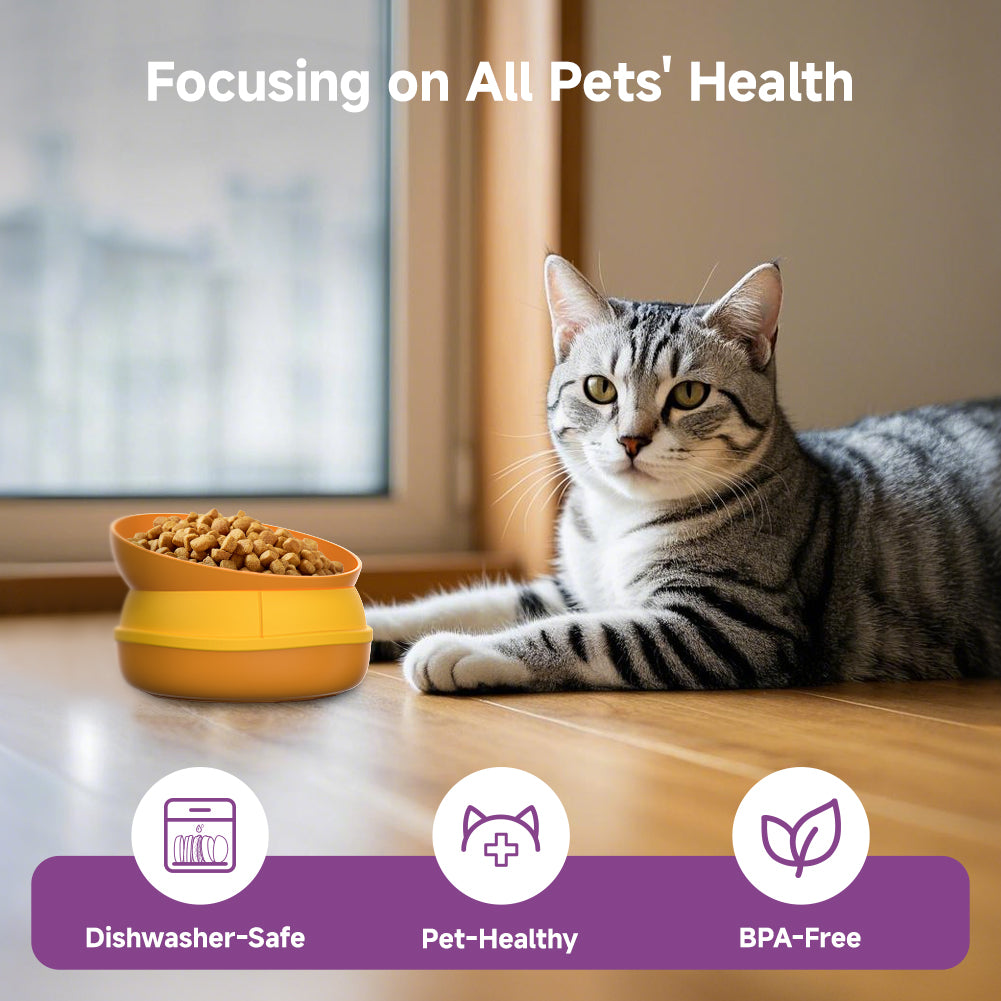 Cat eating from hamburger bowl