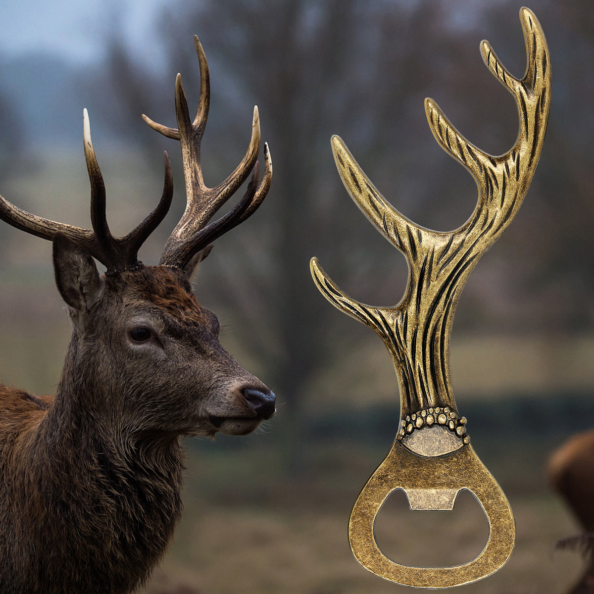 Bronze deer antler bottle opener next to a stag in the woods