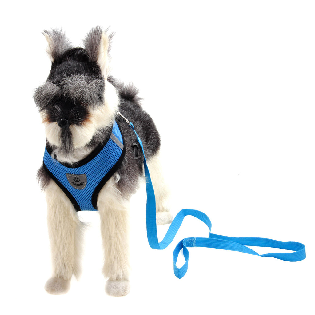 Lightweight Dog Harness - view 2