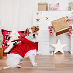 Pet Christmas Costume with Antlers - view 8